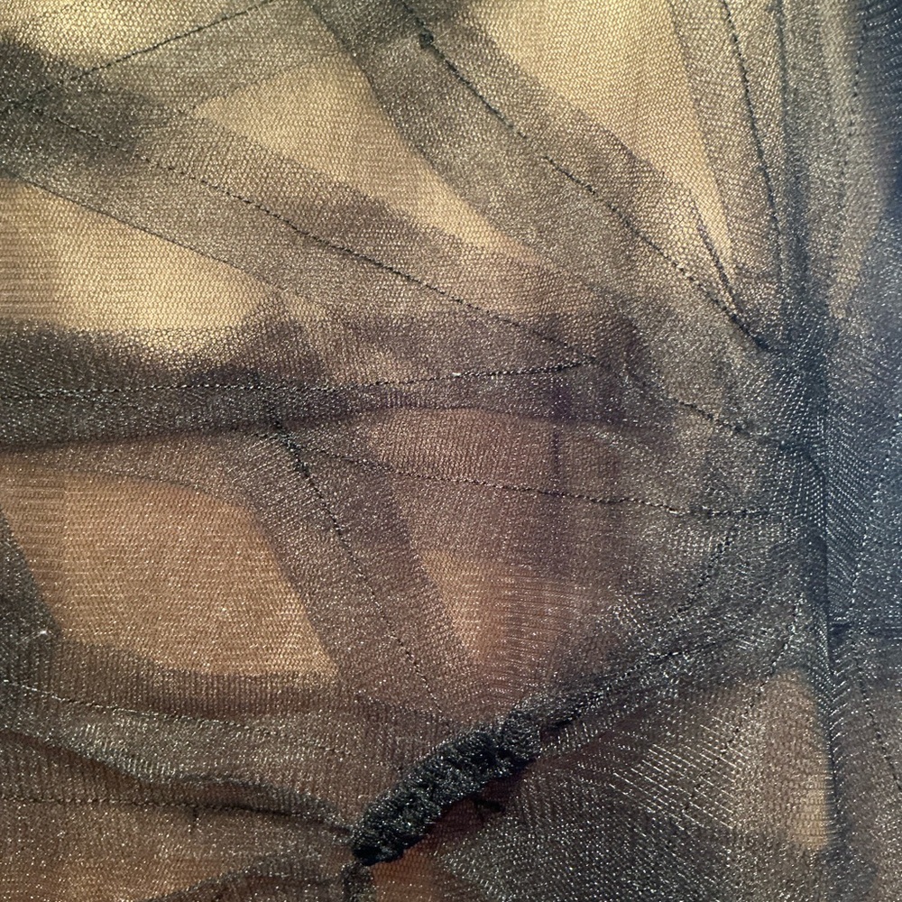 Simon Chang Black Mesh Embroidered Maxi Skirt - Bronze Lining - Size 6 - Picture 5 of 7
